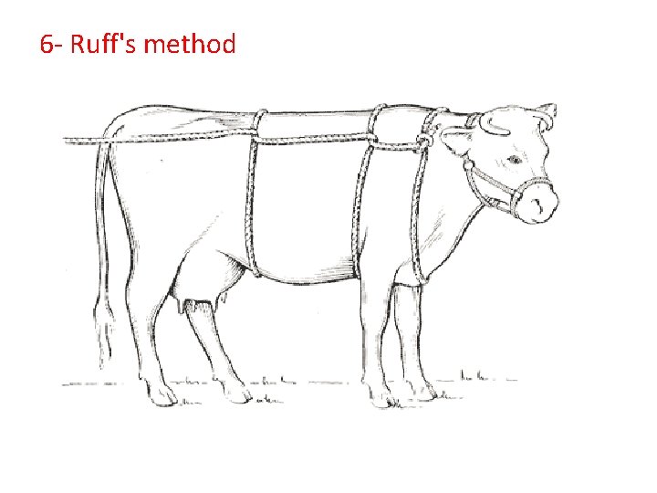 6 - Ruff's method 6 - Ruff's method