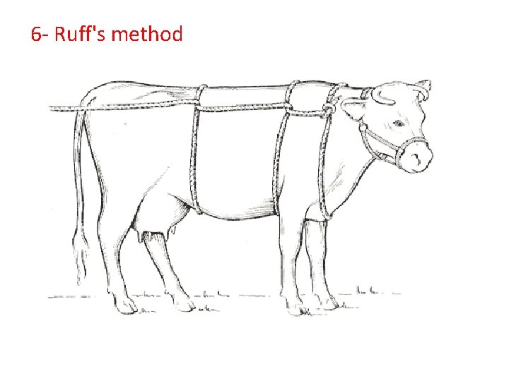 6 - Ruff's method 