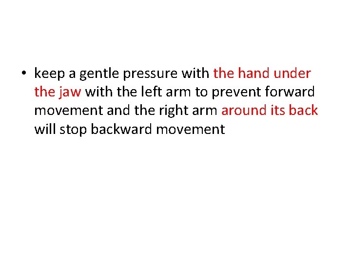 • keep a gentle pressure with the hand under the jaw with the • keep a gentle pressure with the hand under the jaw with the