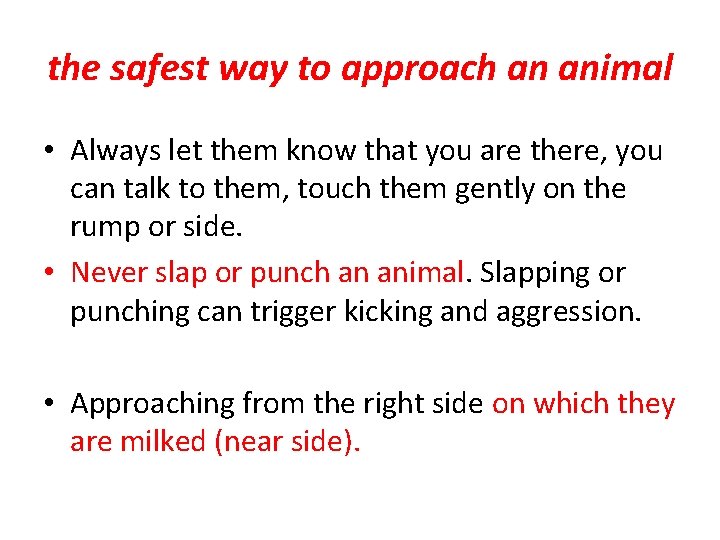 the safest way to approach an animal • Always let them know that you