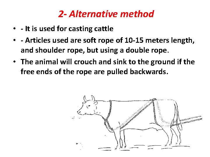 2 - Alternative method • - It is used for casting cattle • 2 - Alternative method • - It is used for casting cattle •