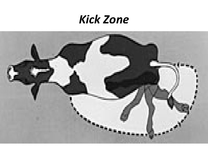 Kick Zone 