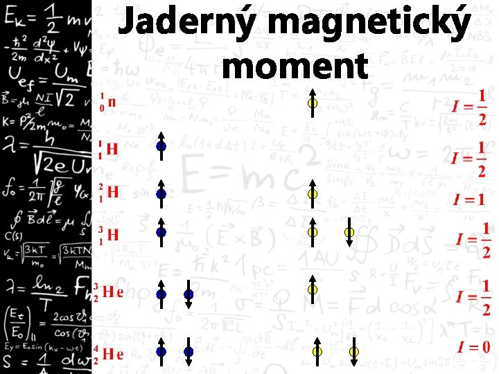 Jaderný magnetický moment 