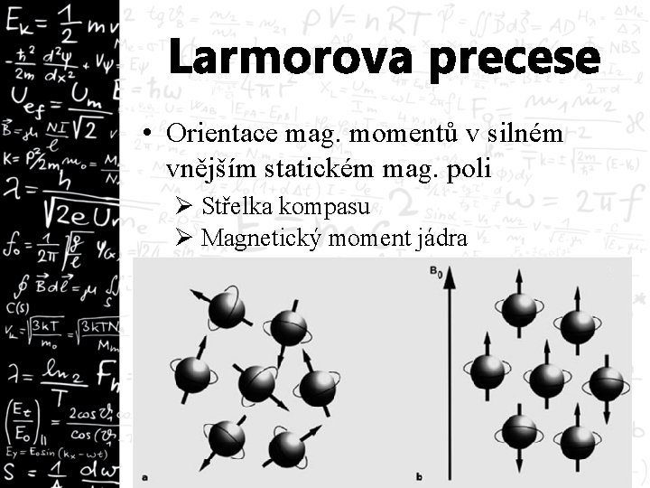 Larmorova precese • Orientace mag. momentů v silném vnějším statickém mag. poli Ø Střelka