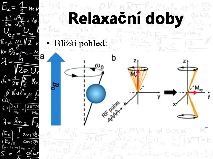 Relaxační doby • Bližší pohled: 