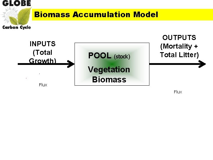 Biomass Accumulation Model INPUTS (Total Growth) Flux POOL (stock) OUTPUTS (Mortality + Total Litter)