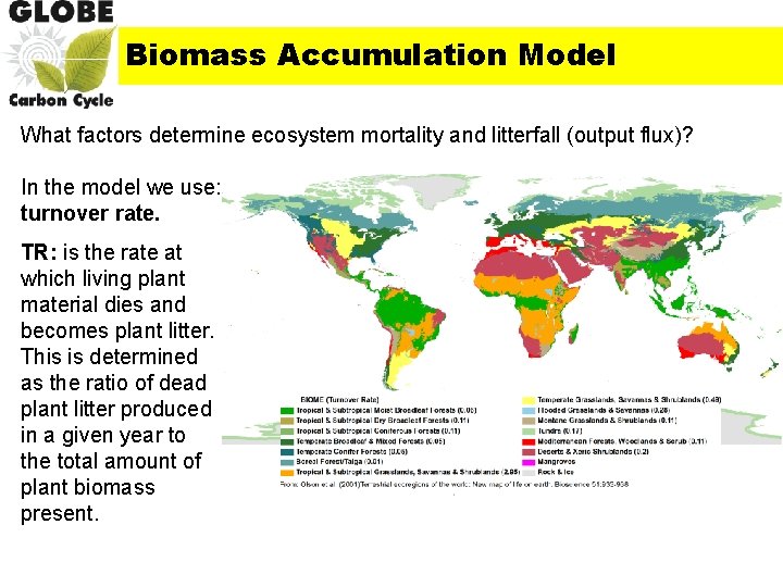 Biomass Accumulation Model What factors determine ecosystem mortality and litterfall (output flux)? In the