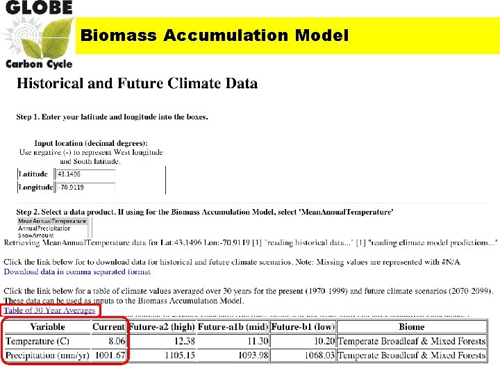 Biomass Accumulation Model 