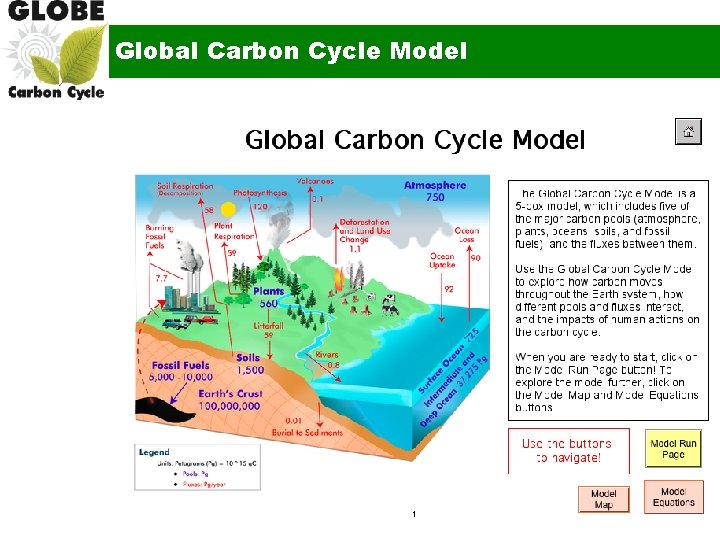 Global Carbon Cycle Model 