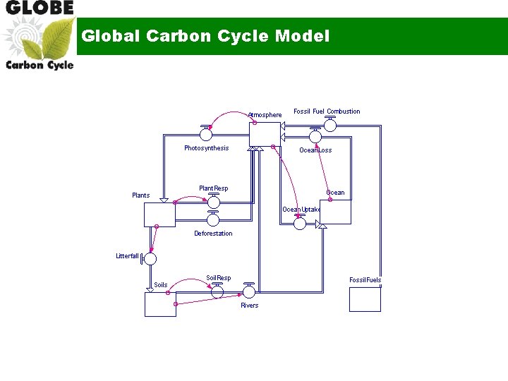 Global Carbon Cycle Model 