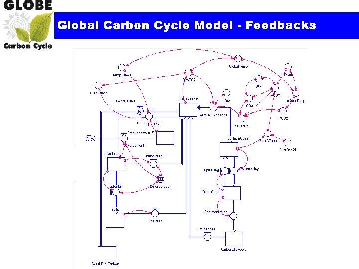 Global Carbon Cycle Model - Feedbacks 