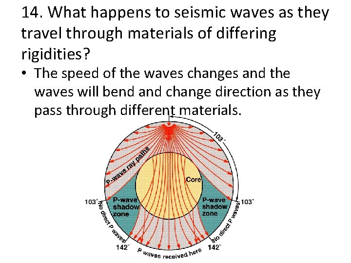 14. What happens to seismic waves as they travel through materials of differing rigidities?