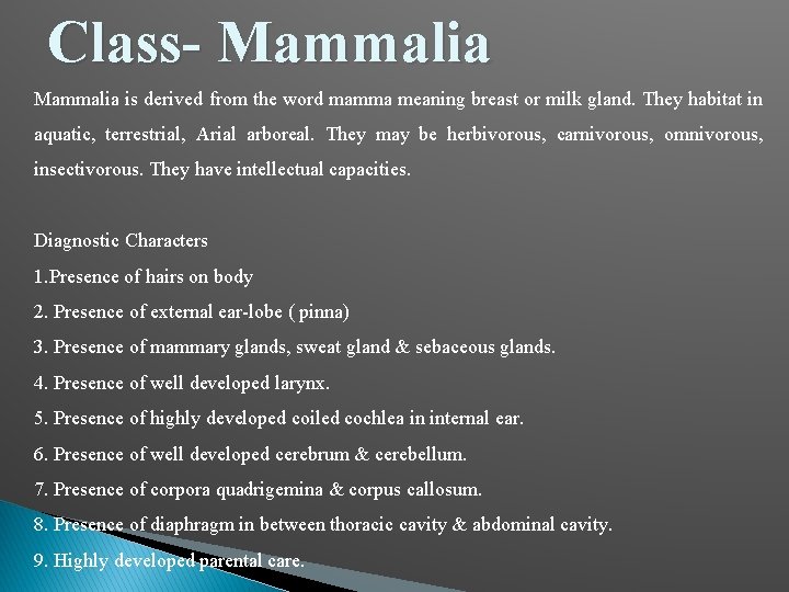 Class- Mammalia is derived from the word mamma meaning breast or milk gland. They