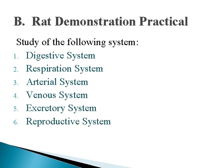 B. Rat Demonstration Practical Study of the following system: 1. Digestive System 2. Respiration