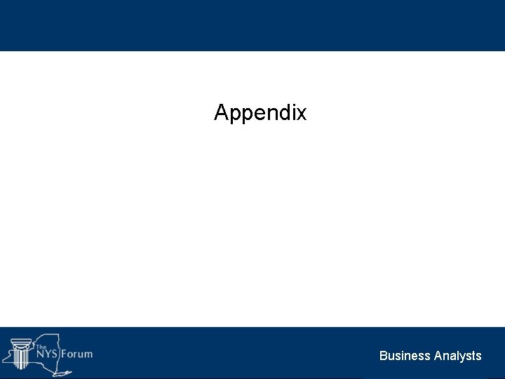 Appendix Business Analysts 