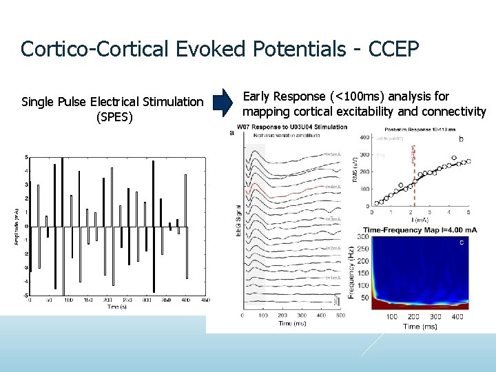 Cortico-Cortical Evoked Potentials - CCEP Single Pulse Electrical Stimulation (SPES) Early Response (<100 ms)