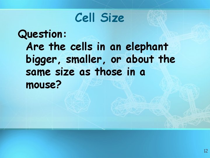 Cell Size Question: Are the cells in an elephant bigger, smaller, or about the