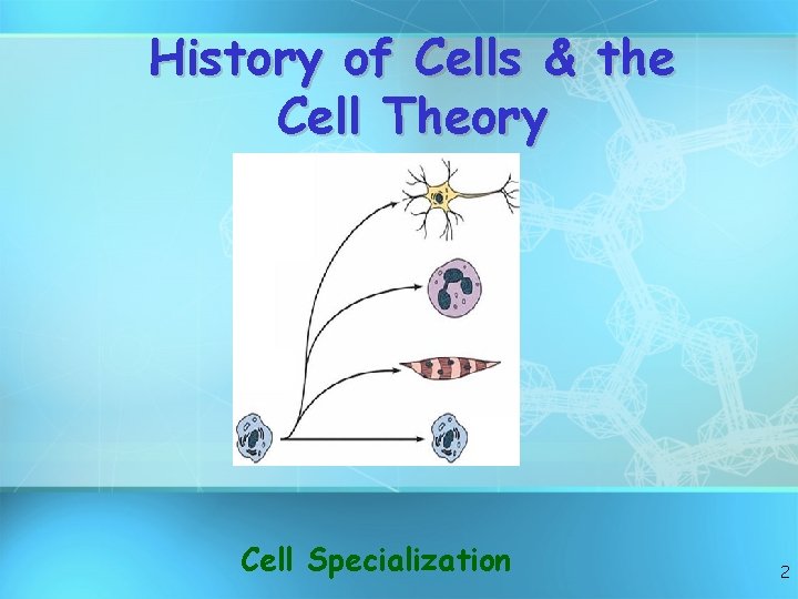History of Cells & the Cell Theory Cell Specialization 2 