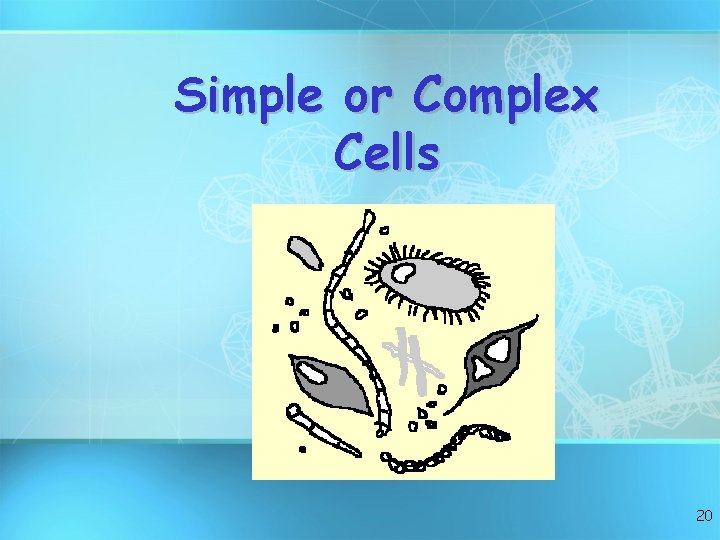 Simple or Complex Cells 20 