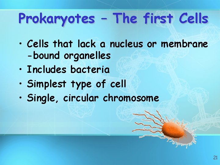 Prokaryotes – The first Cells • Cells that lack a nucleus or membrane -bound