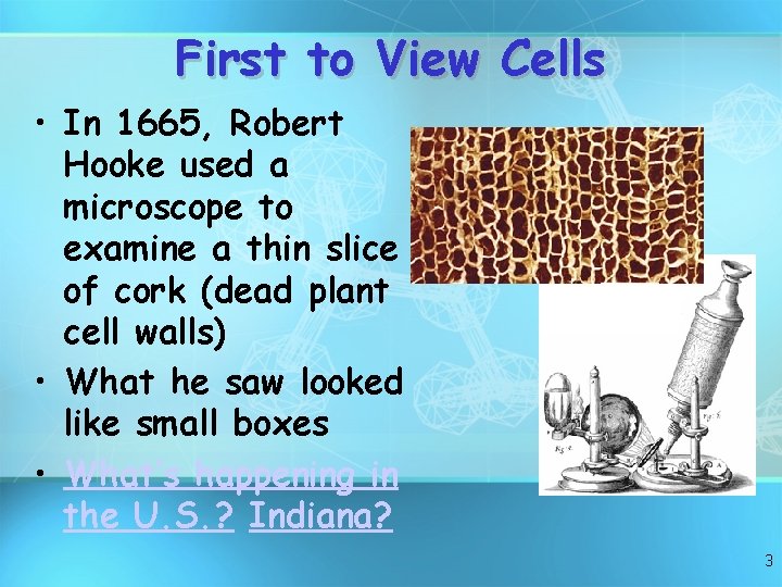 First to View Cells • In 1665, Robert Hooke used a microscope to examine