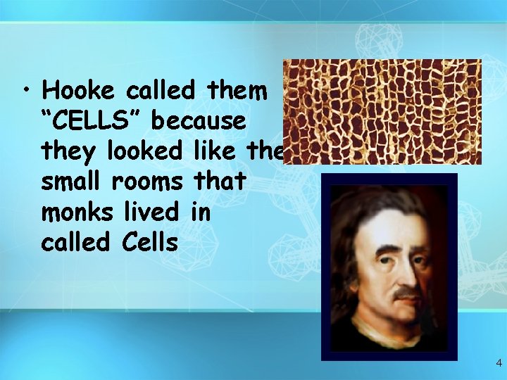  • Hooke called them “CELLS” because they looked like the small rooms that