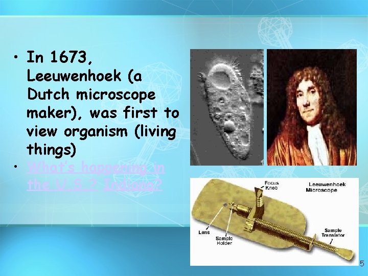  • In 1673, Leeuwenhoek (a Dutch microscope maker), was first to view organism