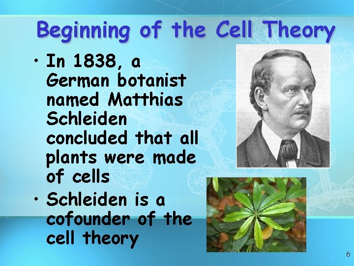 Beginning of the Cell Theory • In 1838, a German botanist named Matthias Schleiden