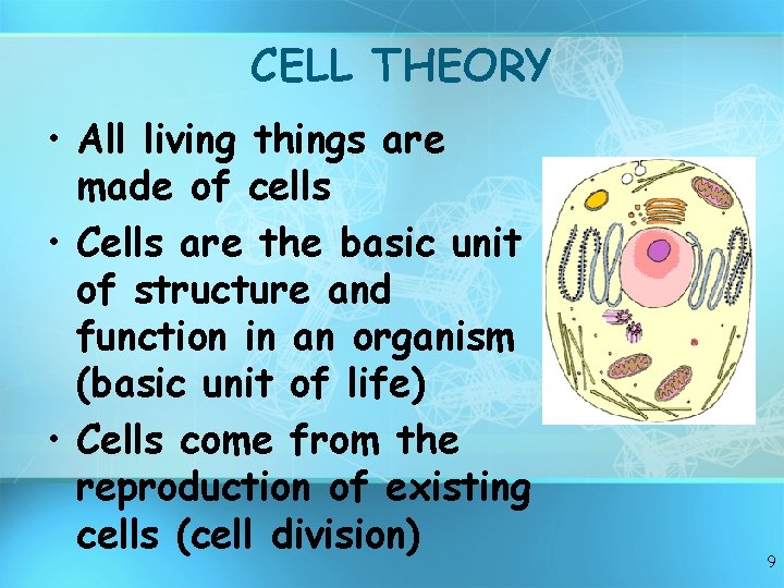 CELL THEORY • All living things are made of cells • Cells are the