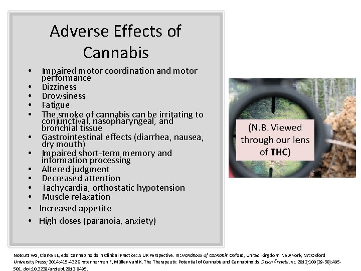 Adverse Effects of Cannabis • • • • Impaired motor coordination and motor performance