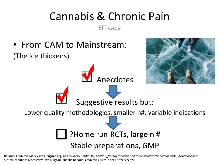 Cannabis & Chronic Pain Efficacy • From CAM to Mainstream: (The ice thickens) Anecdotes