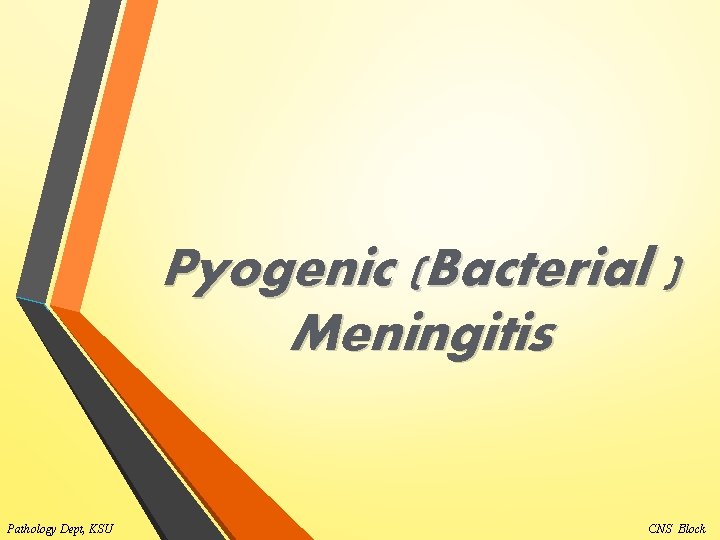 Pyogenic (Bacterial ) Meningitis Pathology Dept, KSU CNS Block 