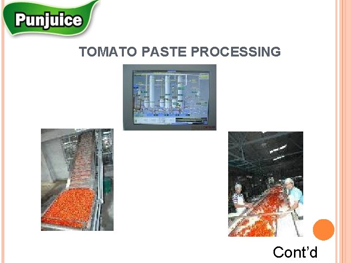 TOMATO PASTE PROCESSING Cont’d 