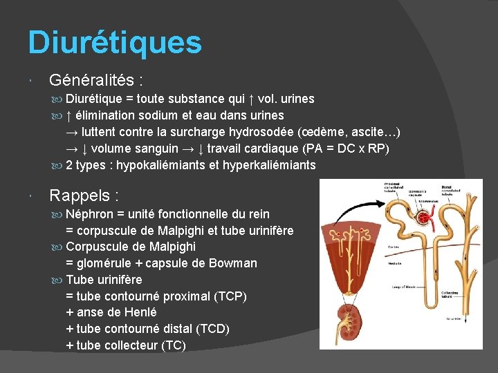 Diurétiques Généralités : Diurétique = toute substance qui ↑ vol. urines ↑ élimination sodium