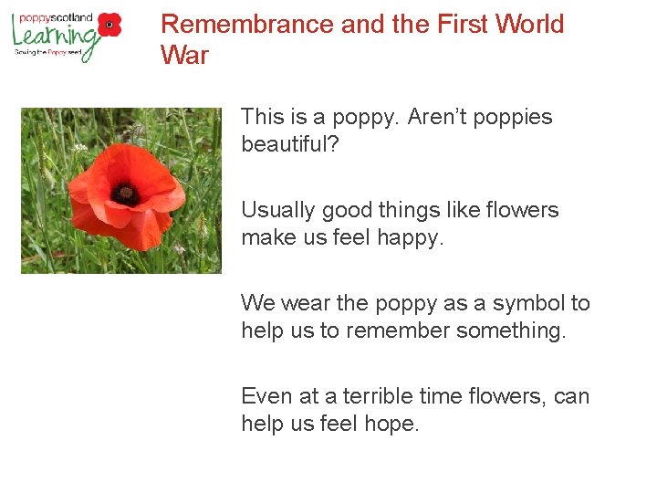 Remembrance and the First World War This is a poppy. Aren’t poppies beautiful? Usually