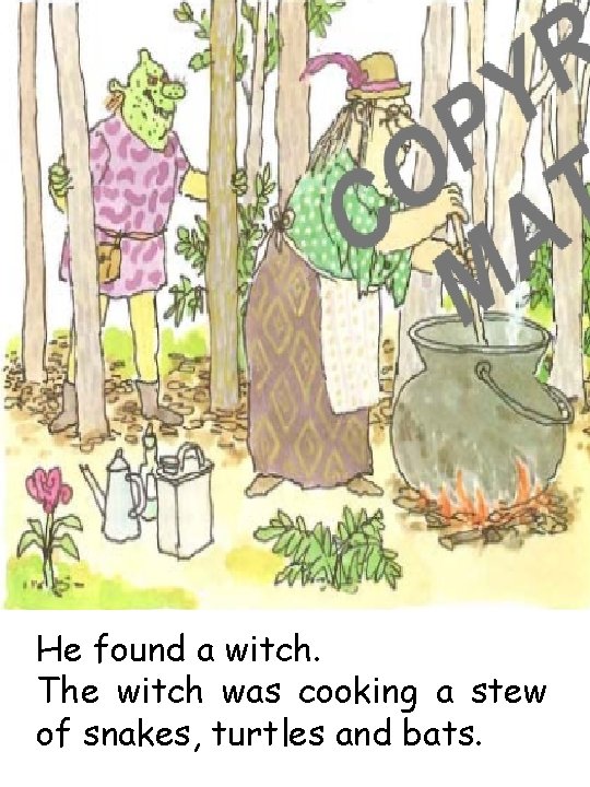 He found a witch. The witch was cooking a stew of snakes, turtles and