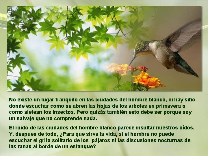 No existe un lugar tranquilo en las ciudades del hombre blanco, ni hay sitio