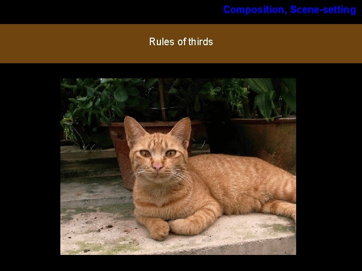 Composition, Scene-setting Lecture: Basic Cinematography Rules of thirds Composition, Scene-setting Lecture: Basic Cinematography Rules of thirds