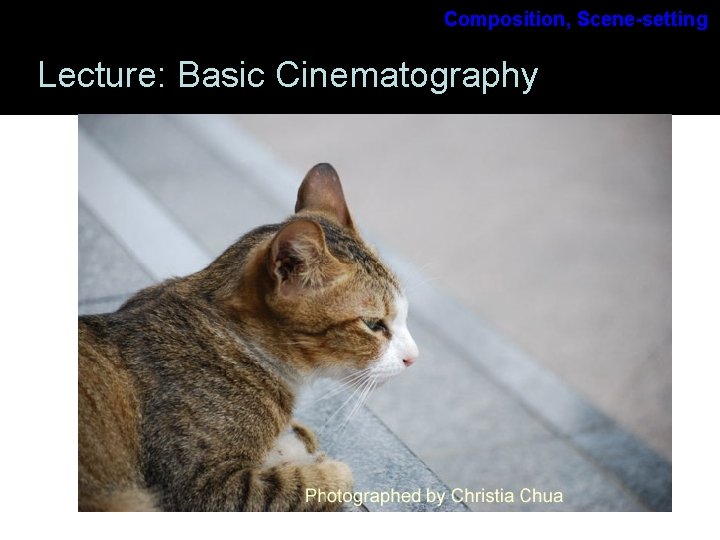 Composition, Scene-setting Lecture: Basic Cinematography Composition, Scene-setting Lecture: Basic Cinematography