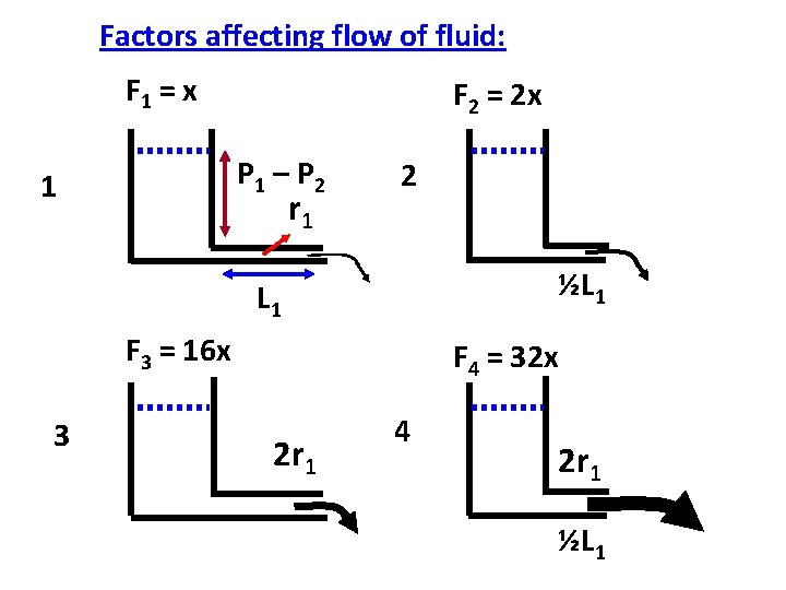 Factors affecting flow of fluid: F 1 = x F 2 = 2 x Factors affecting flow of fluid: F 1 = x F 2 = 2 x