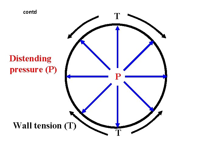 contd Distending pressure (P) Wall tension (T) T P T contd Distending pressure (P) Wall tension (T) T P T