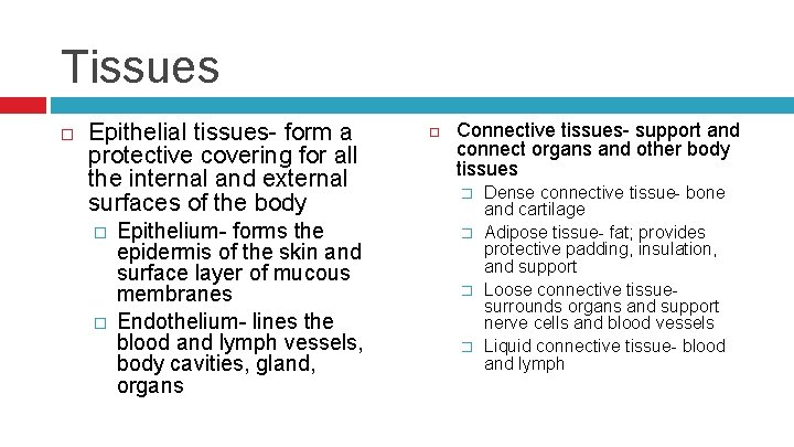 Tissues Epithelial tissues- form a protective covering for all the internal and external surfaces