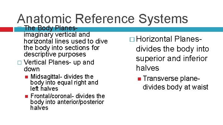 Anatomic Reference Systems The Body Planesimaginary vertical and horizontal lines used to dive the