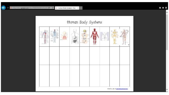 Anatomic Reference Systems Body Systemwhen body parts function together to perform a related function