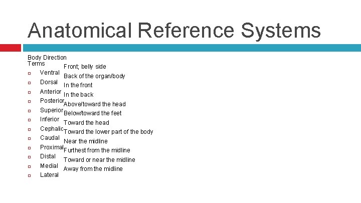 Anatomical Reference Systems Body Direction Terms Front; belly side Ventral Back of the organ/body