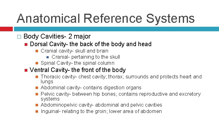Anatomical Reference Systems � Body Cavities- 2 major Dorsal Cavity- the back of the