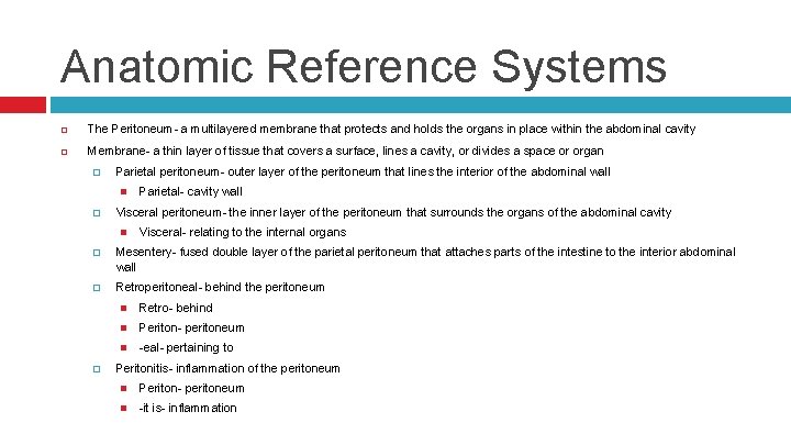 Anatomic Reference Systems The Peritoneum- a multilayered membrane that protects and holds the organs