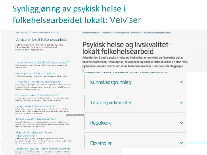 Synliggjøring av psykisk helse i folkehelsearbeidet lokalt: Veiviser 