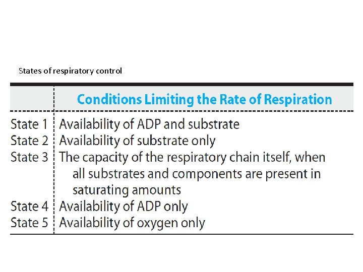 States of respiratory control 
