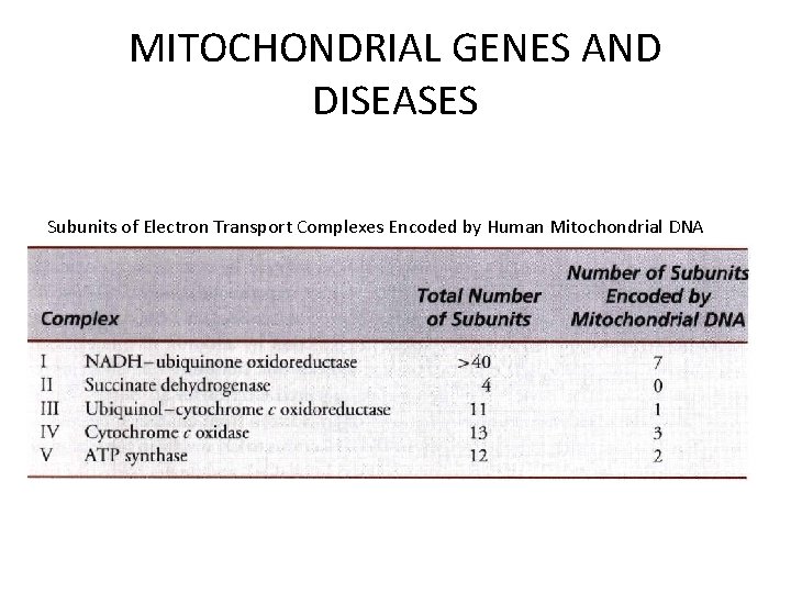MITOCHONDRIAL GENES AND DISEASES Subunits of Electron Transport Complexes Encoded by Human Mitochondrial DNA